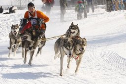 Lenk 2012 SM